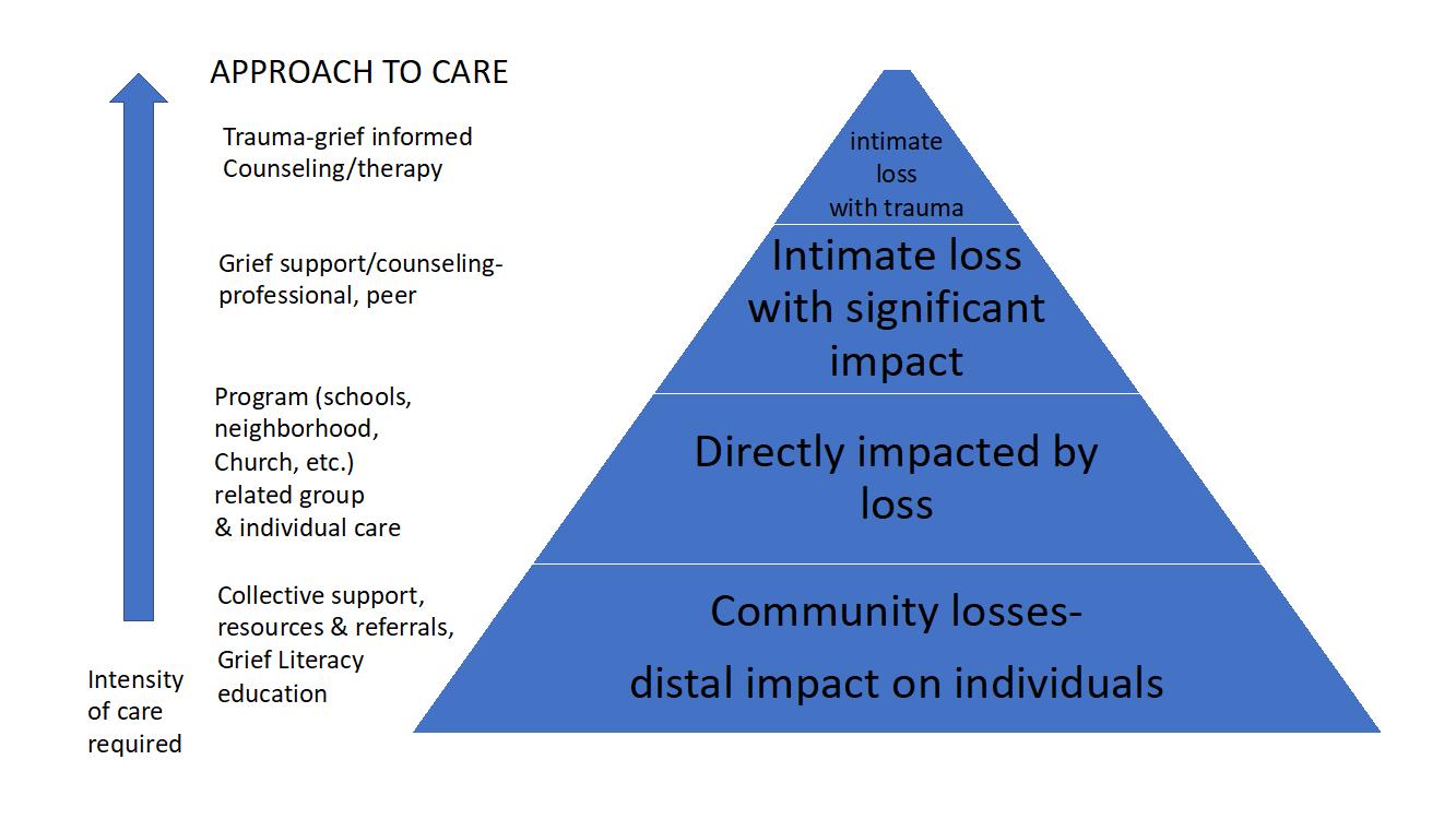 Approach to Care Graphic