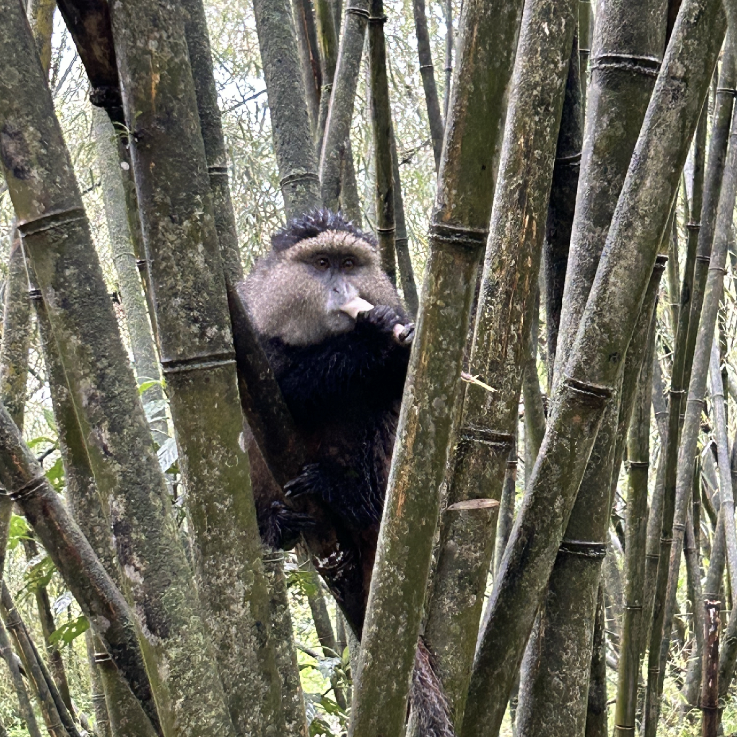 Uganda Trip