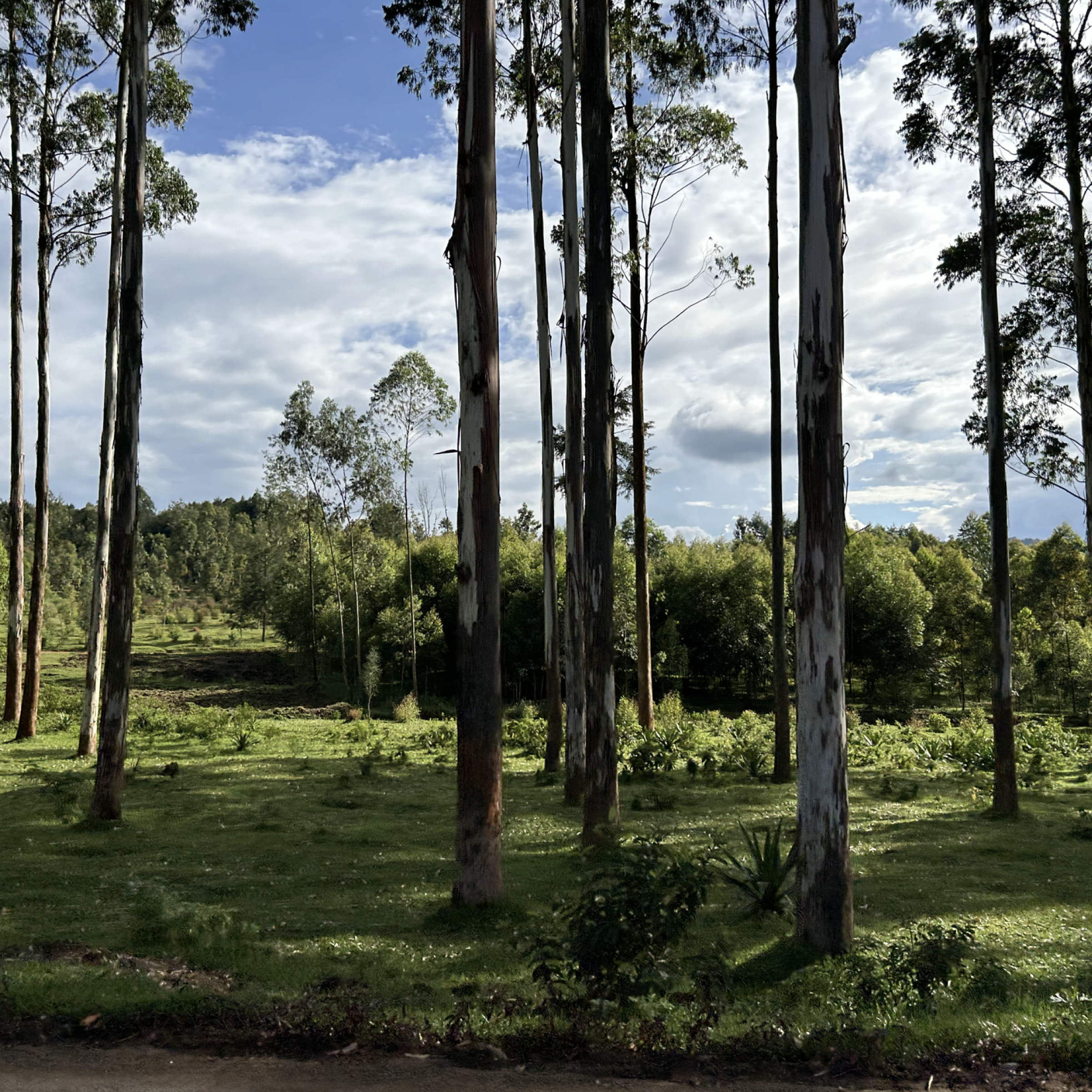 Rwanda Trip